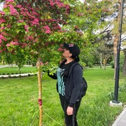   ,   Lud, 41 ,   c 
