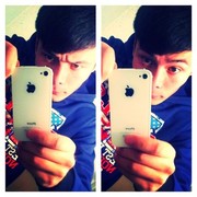 ���������� �������, ���� ������� Wax, 33 ����, ������������ ��� ������, ����� � ���������, c�������� ���������