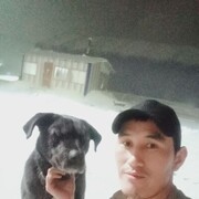   ,   Kamil, 31 ,   ,   