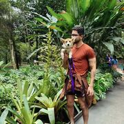 ���������� ������, ���� ������� ����������, 38 ���, ������������ 