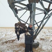 ���������� ���������, ���� ������� ����, 40 ���, ������������ ��� ������, ����� � ���������, c�������� ���������