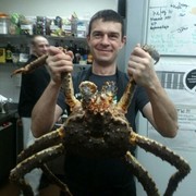 ���������� ������, ���� ������� ������, 47 ���, ������������ ��� ������, ����� � ���������, c�������� ���������