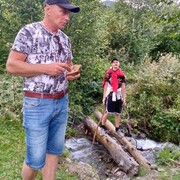  -,   , 49 ,   ,   