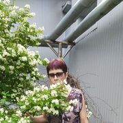  ,   , 62 ,   c , 
