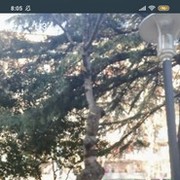 ���������� �������, ���� ������� Misha, 44 ����, ������������ ��� ������, ����� � ���������, c�������� ���������