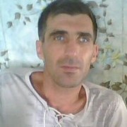  ,   Grizli3334, 79 ,   