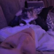 ���������� ������, ���� ����� ���������, 21 ���, ������������ ��� ������