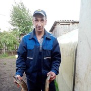  ,   , 39 ,   