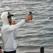 ���������� ����������, ���� ������� ALI, 29 ���, ������������ ��� ������, c�������� ���������, ���������