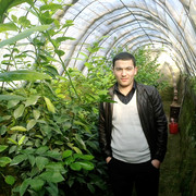  ,   Ulugbek, 37 ,   