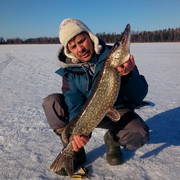 ���������� �����-���������, ���� ������� �������, 51 ���, ������������ ��� ����� � ���������, c�������� ���������