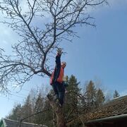 ���������� �����, ���� ������� �����, 44 ����, ������������ ��� ������, ����� � ���������, c�������� ���������