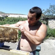 ���������� ����������, ���� ������� ������, 38 ���, ������������ ��� ������, ����� � ���������, c�������� ���������, ���������