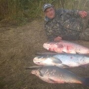 ���������� �����, ���� ������� ���������, 49 ���, ������������ ��� ������, ����� � ���������, c�������� ���������, ���������