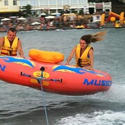 ���������� ��������, ���� ������� �������, 39 ���, ������������ ��� ������, ����� � ���������