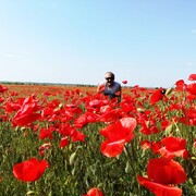 ���������� ������� �����, ���� ������� �������, 60 ���, ������������ ��� ������, ����� � ���������, c�������� ���������