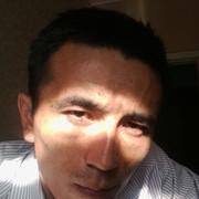  ,   SatGreen, 41 ,   ,   , c , 