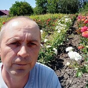  --,   , 49 ,   ,   