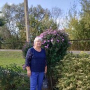  ,   , 65 ,     , c , 