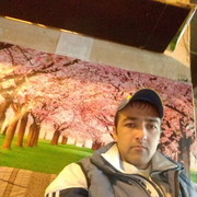 ���������� �������, ���� ������� ������, 33 ����, ������������ ��� ������, ����� � ���������, c�������� ���������