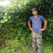  ,   , 43 ,   ,   