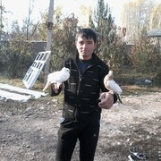 ���������� �������, ���� ������� ��� 1724247, 40 ���, ������������ ��� ������, ����� � ���������, c�������� ���������