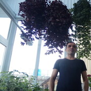 ���������� �����������, ���� ������� ���������, 47 ���, ������������ ��� ������, ����� � ���������, c�������� ���������