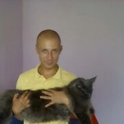  ,   , 39 ,     , c 