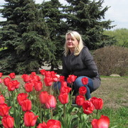  ,   , 54 ,     , c 