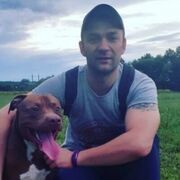 ���������� ����, ���� ������� �����, 94 ����, ������������ ��� ������, ����� � ���������