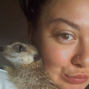 ���������� �����-���������, ���� ������� �����, 38 ���, ������������ ��� c�������� ���������, ���������