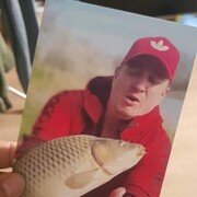 ���������� ���������, ���� ������� �������, 41 ���, ������������ ��� ������, ����� � ���������