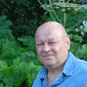  ,   , 55 ,  