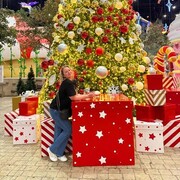 ���������� ������, ���� ������� �������, 40 ���, ������������ ��� ������, ����� � ���������, c�������� ���������