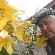  ,   , 60 ,   ,   , c , 