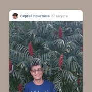  ,   , 38 ,   c 