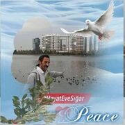  Korfez,  Mustafa, 45