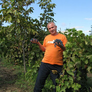 ���������� ����������, ������� �����, 57