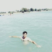 ���������� ������, ���� ������� �����, 38 ���, ������������ ��� ������, ����� � ���������, c�������� ���������