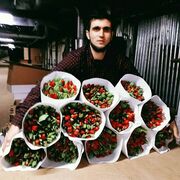 ���������� ������, ���� ������� ����, 30 ���, ������������ ��� ������, ����� � ���������