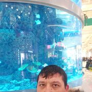 ,   , 43 ,   ,   