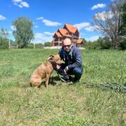 ���������� �������, ���� ������� ������, 42 ����, ������������ ��� ������, ���������