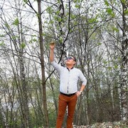 ���������� ������ ��������, ���� ������� A���, 39 ���, ������������ ��� ������, ����� � ���������, c�������� ���������