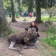 ���������� ������, ���� ������� �����, 40 ���, ������������ ��� c�������� ���������