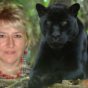 ���������� ���������, ���� ������� �����, 49 ���, ������������ ��� ����� � ���������, c�������� ���������