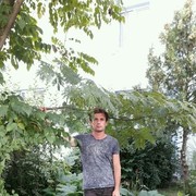 ,  , 38