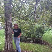 ���������� ���������, ������� �����, 55