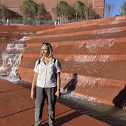 ���������� ���������, ����