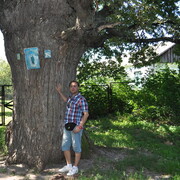  ,   , 48 ,   c 