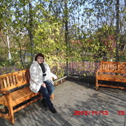  ,   , 53 ,  